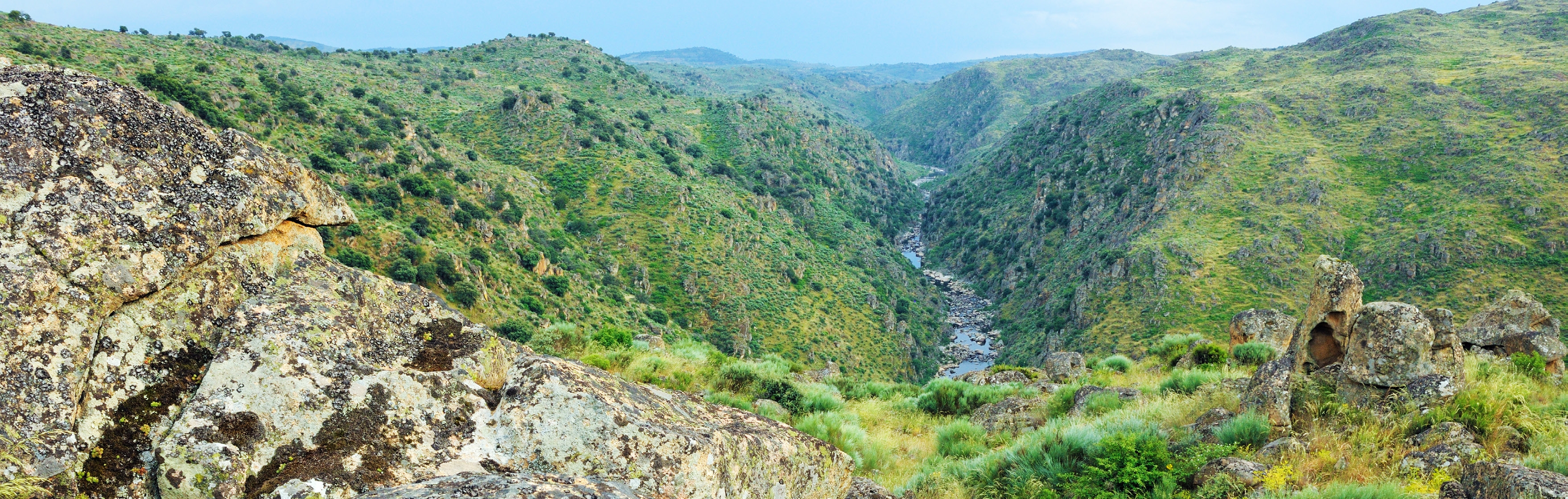 Rewilding in Portugal