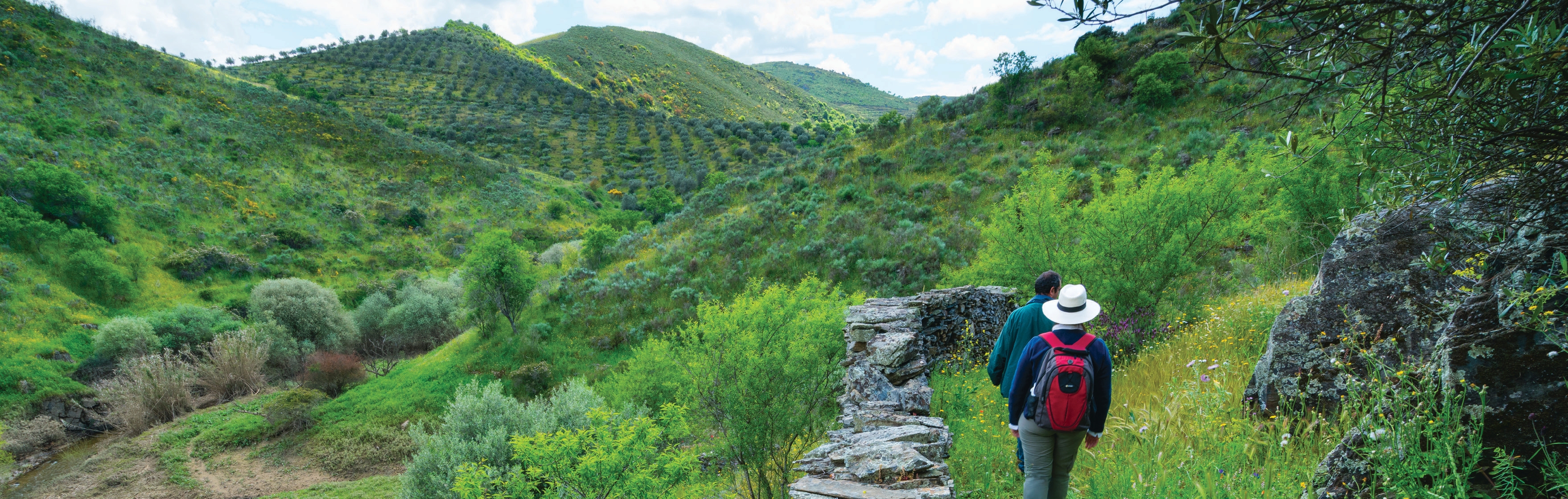 Rewilding em Portugal