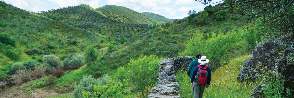 Rewilding em Portugal