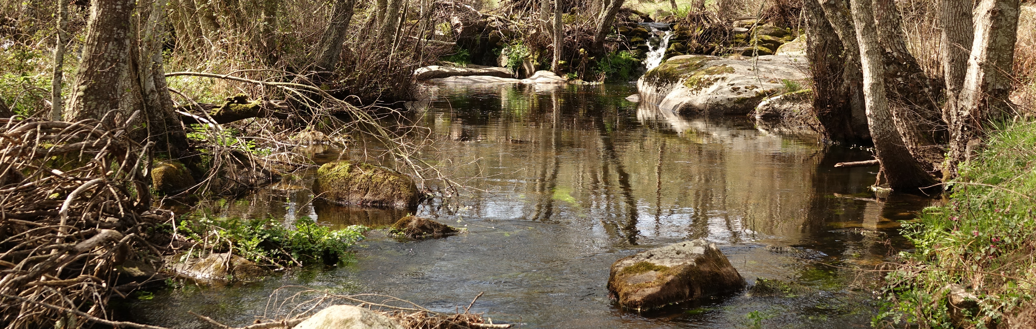 Rewilding in Portugal