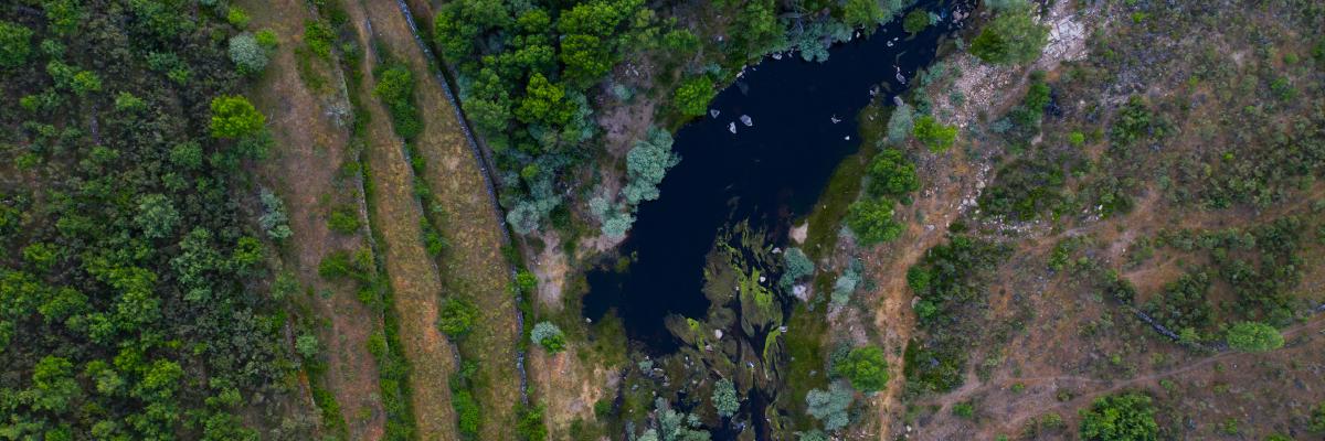 Rewilding in Portugal