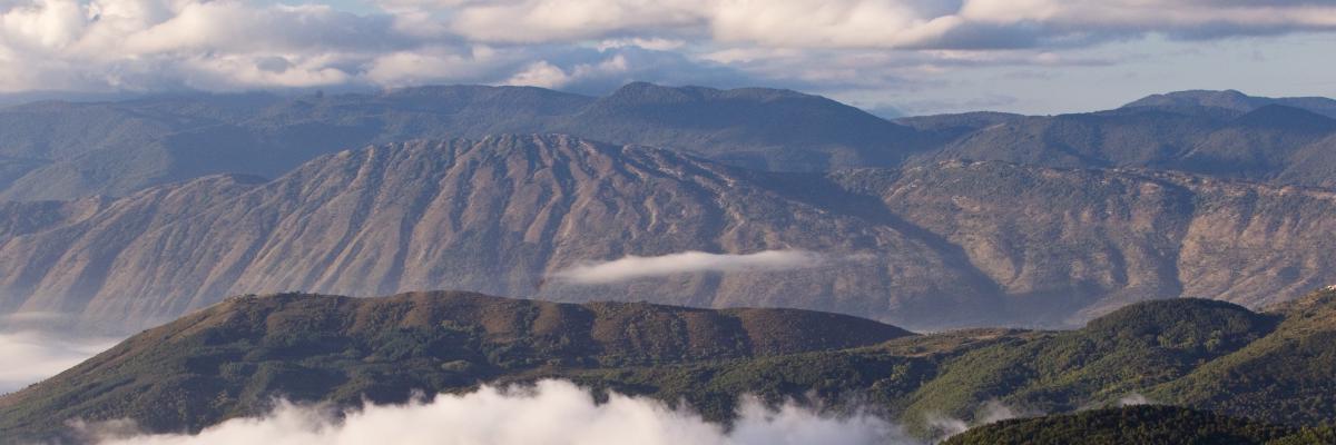 Rewilding in Italia