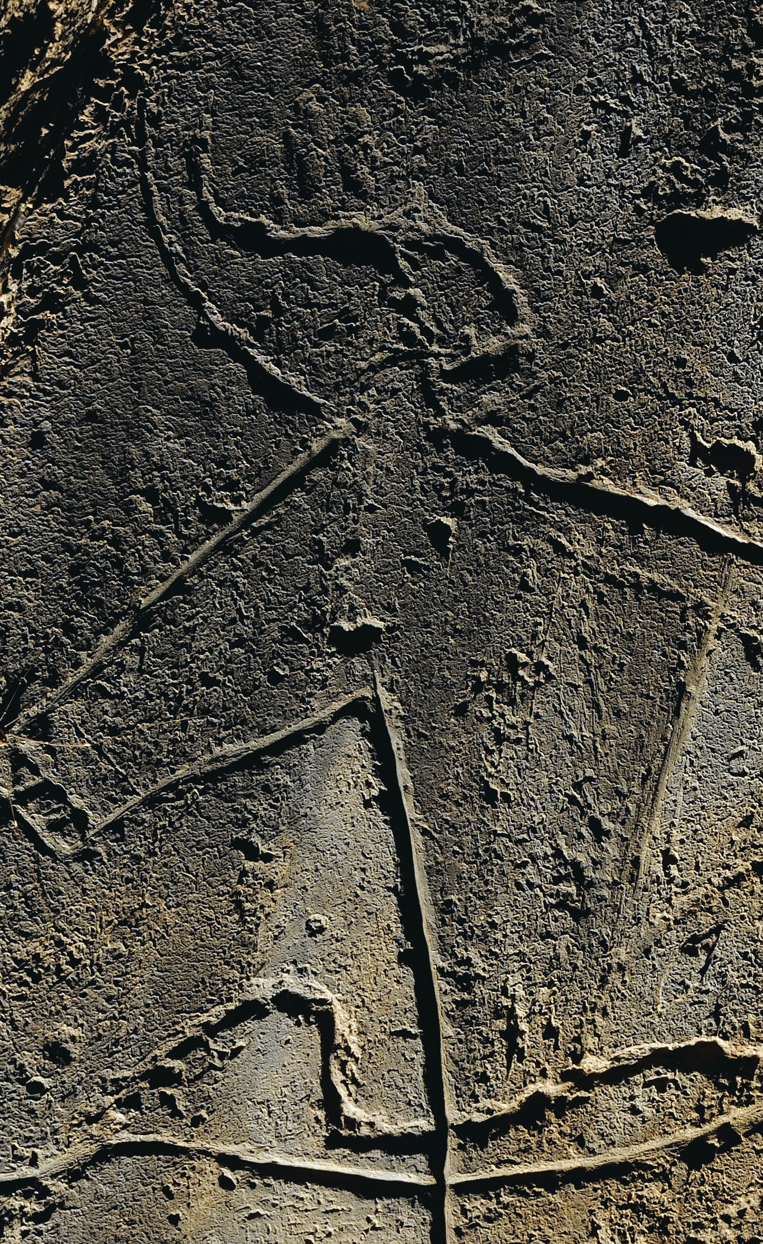 Gravura rupreste do Auroch (Bos primigenius), Parque Aqueológico do Vale do Côa. 