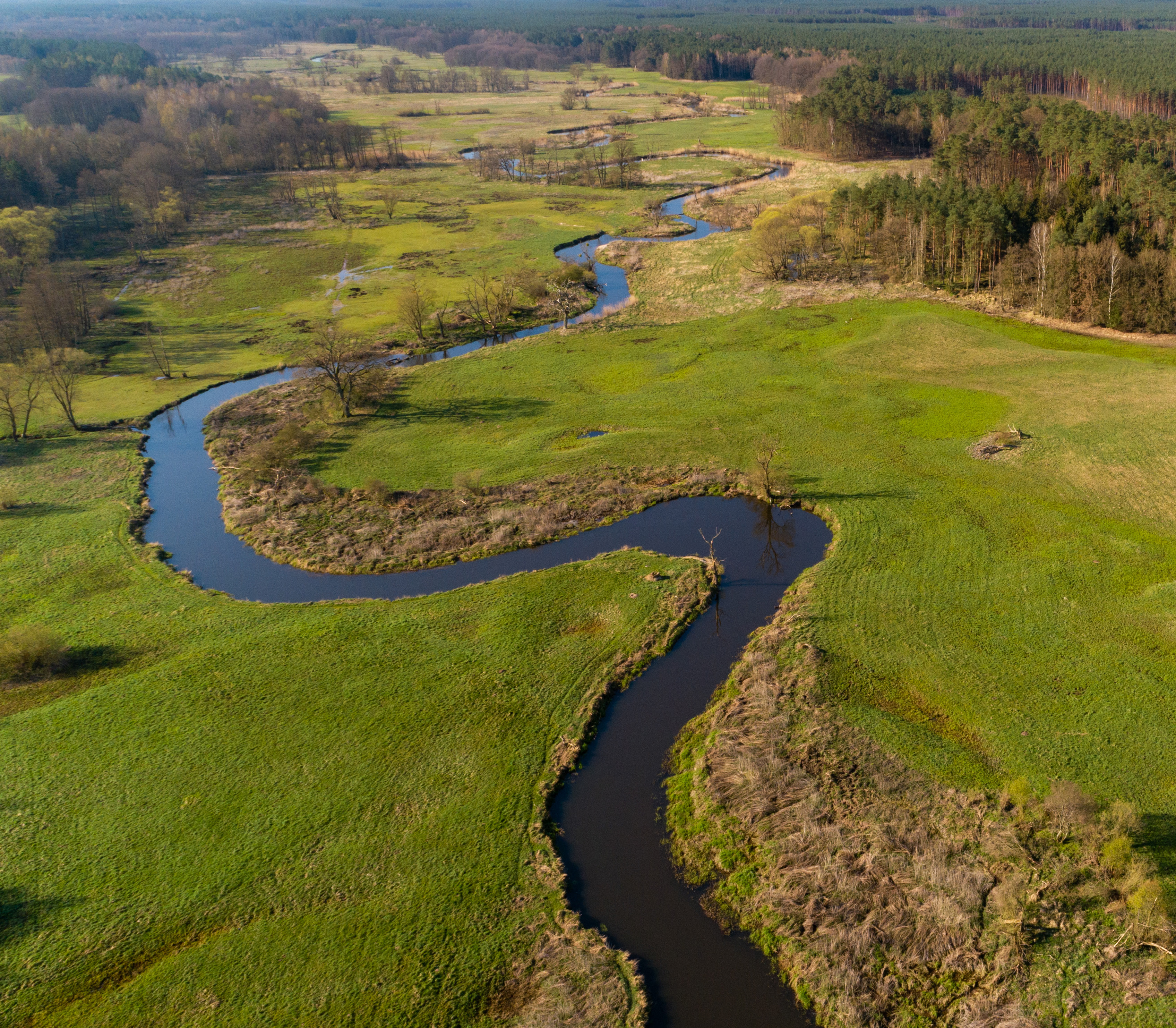 Aerial view of meanders of the river Ina, Krzewno area, West-Pomerania.