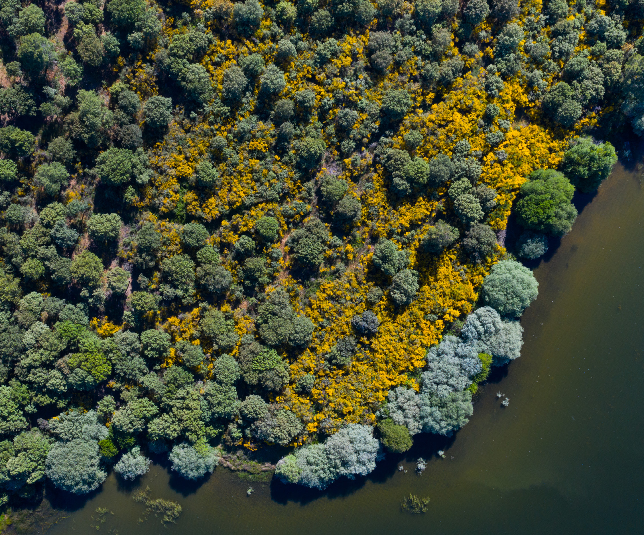 Represa de St.ª Maria de Aguiar, Ribeira de Aguiar, Grande Vale do Côa. 