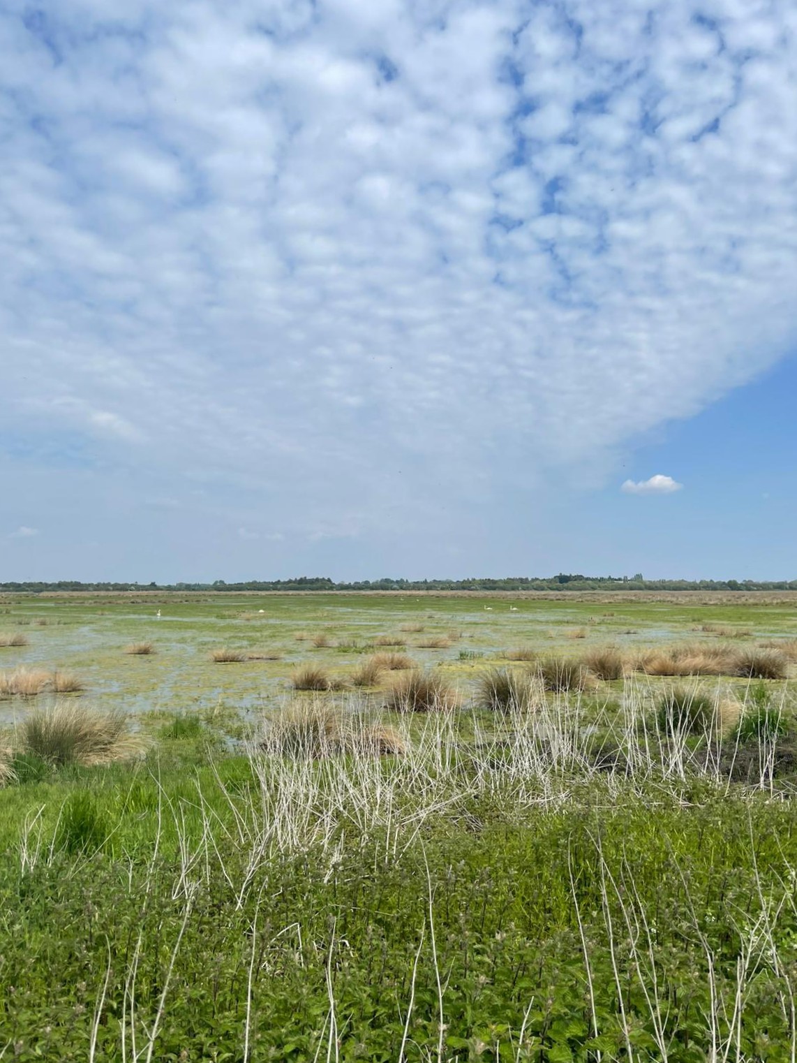 Creating Long-Term Protection for Wild Land