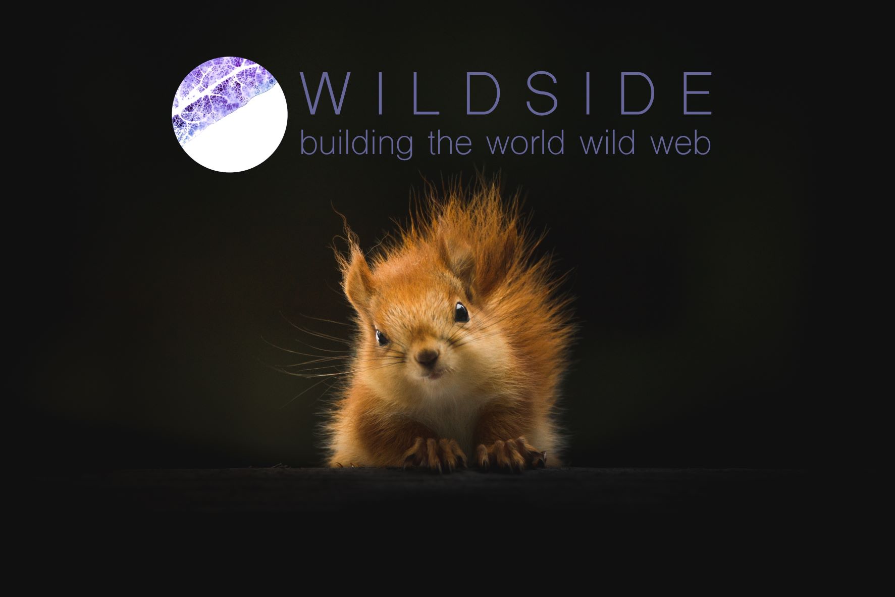 Wildside, the World WILD Web