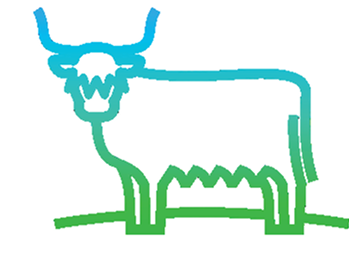 LIABILITY FOR DAMAGE CAUSED BY ANIMALS