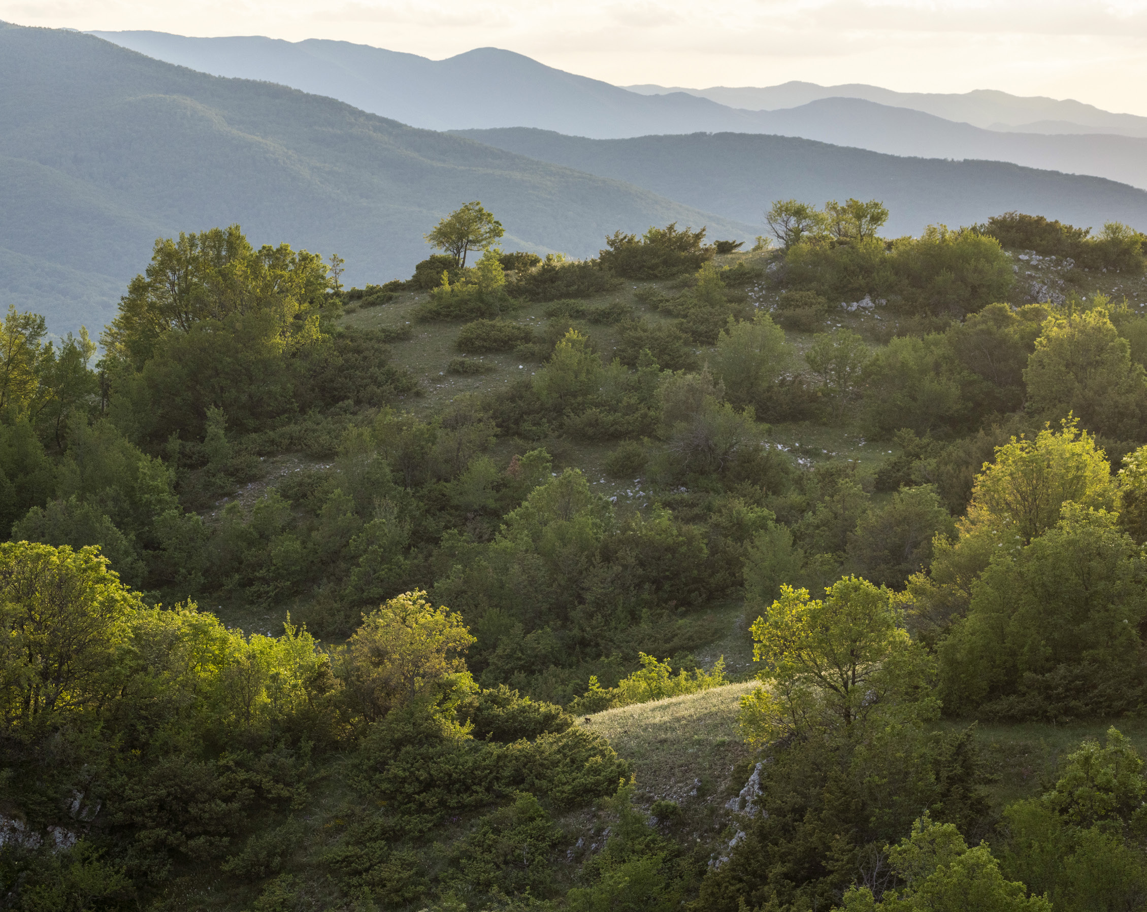 Vegetation and scenery, Central Apennines.
